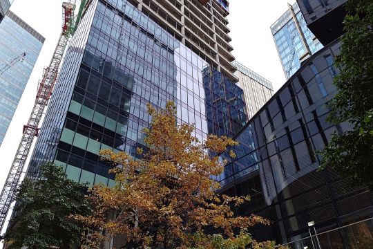 Skyliner II w połowie